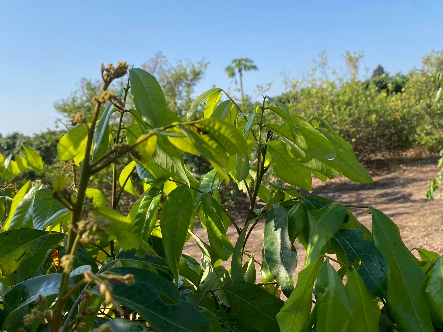 title - หัวหน้าผู้ตรวจราชการ ส.ป.ก. (เขต 3,15 และ 16) ประชุมตรวจติดตามความก้าวหน้าการดำเนินงานตามแผนงานตรวจราชการ ประจําปีงบประมาณ 2569 รอบที่ 1 ณ จังหวัดเชียงใหม่